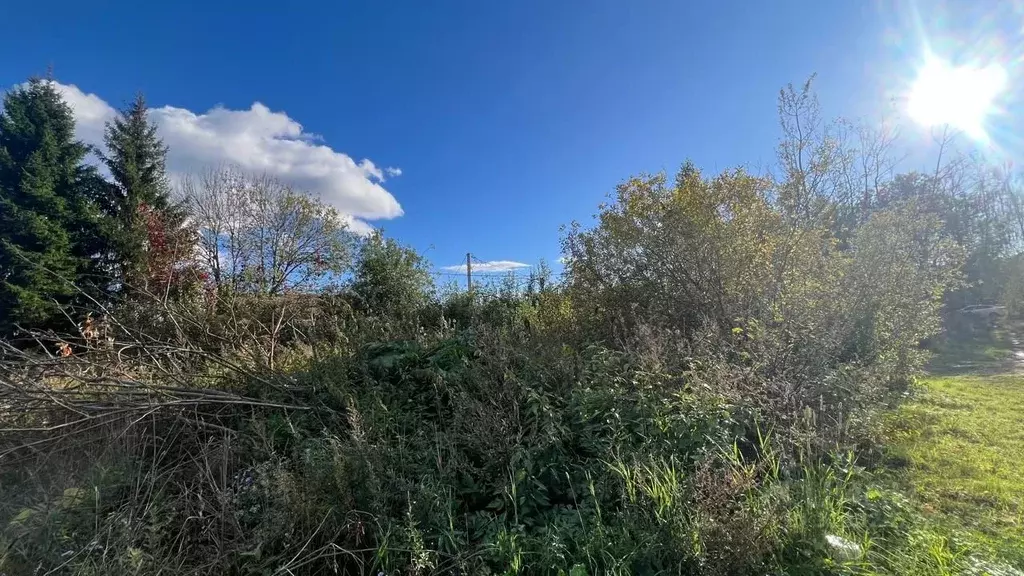 Участок в Московская область, Истра ул. Ленина, Река Истра (23.0 сот.) - Фото 2