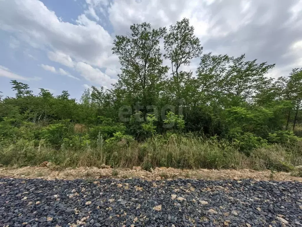 Участок в Ростовская область, Родионово-Несветайский район, ... - Фото 1