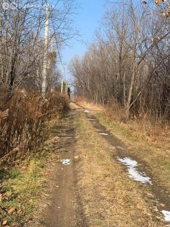 Дом в Тополевское сельское поселение, СНТ Сириус (18 м) - Фото 0