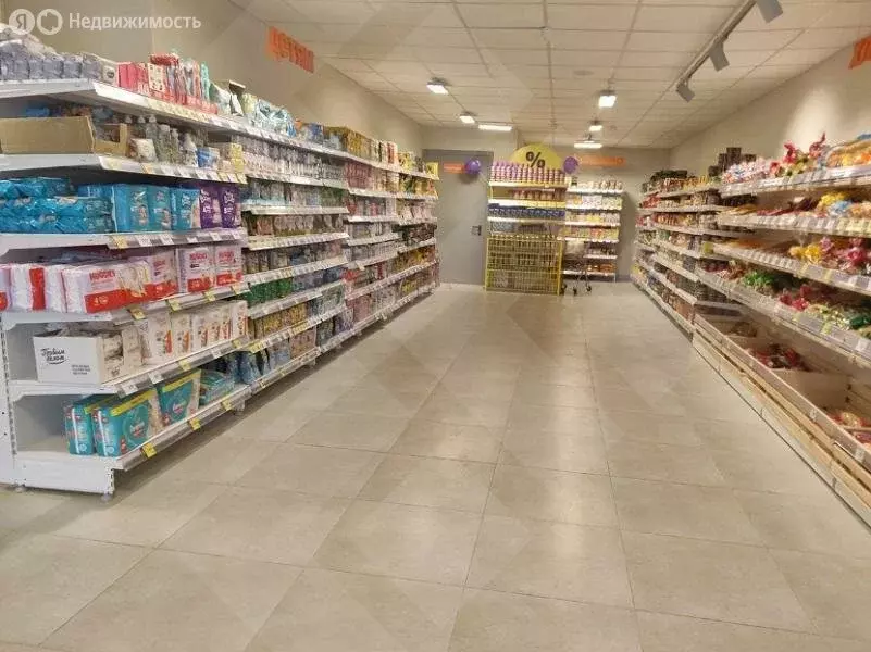 Помещение свободного назначения (790 м) - Фото 1