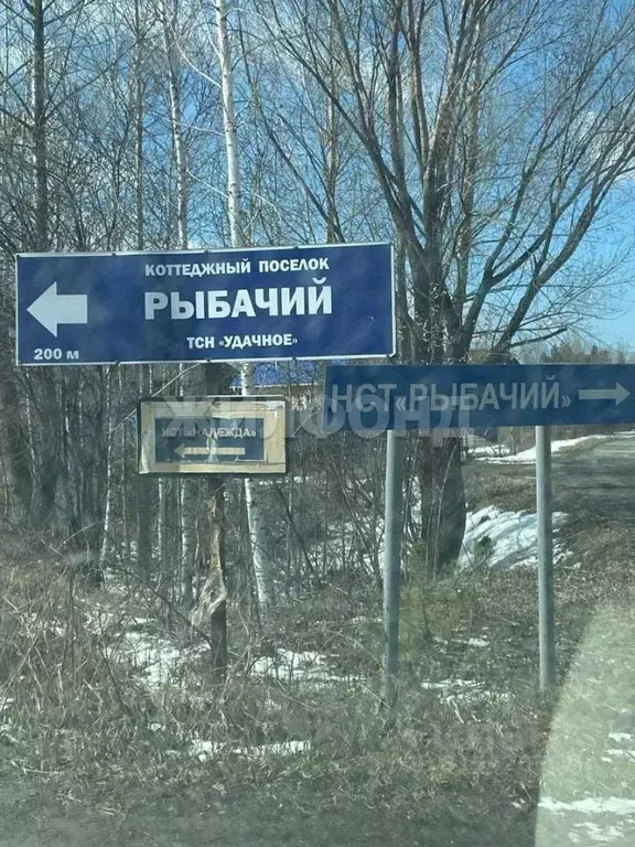 Дом в Новосибирская область, Колыванский район, Надежда СТ  (10 м) - Фото 1