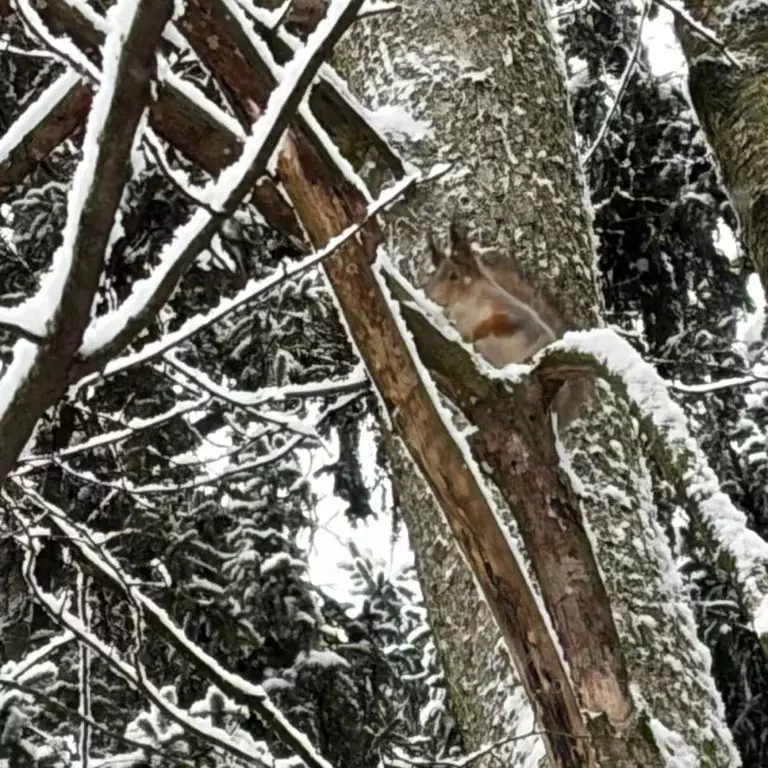 2-к кв. Москва ул. Татьянин Парк, 19к1 (58.0 м) - Фото 2