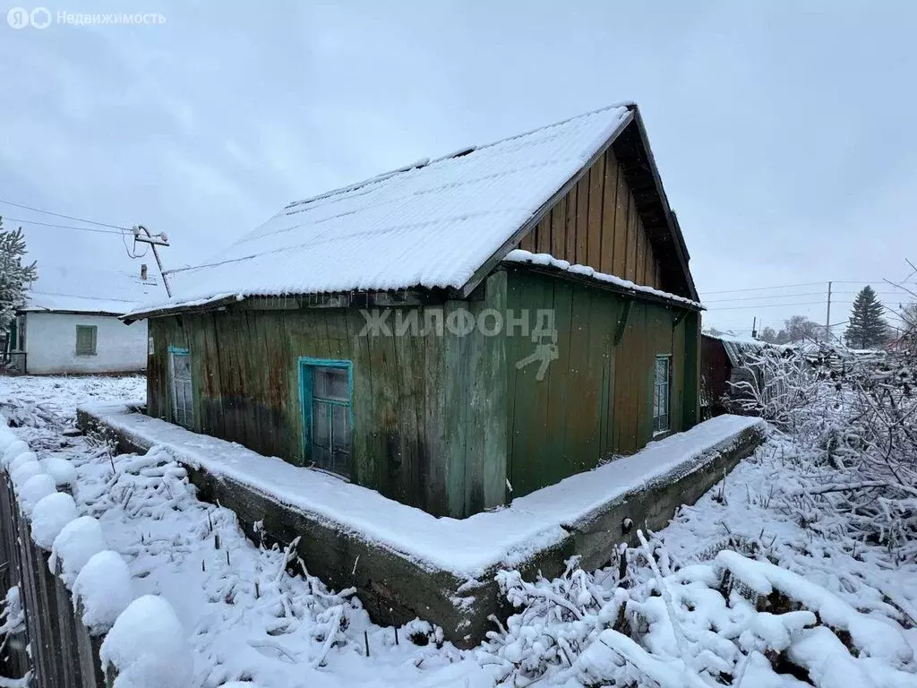 Дом в Черепаново, улица Степана Разина (30.1 м) - Фото 1