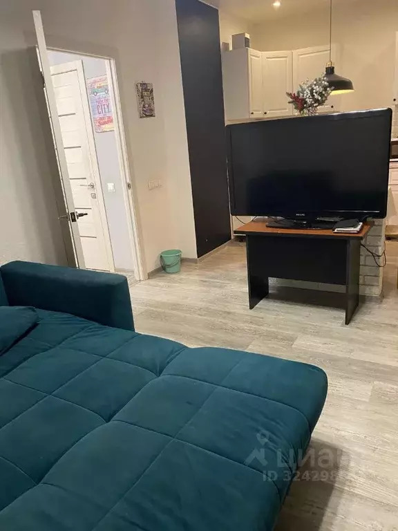 1-к кв. Московская область, Богородский городской округ, д. Щемилово ... - Фото 2