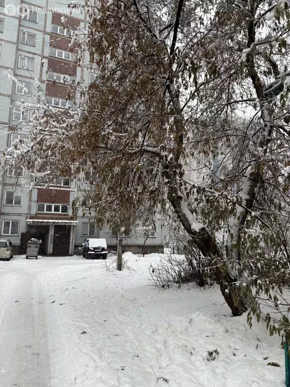 1-комнатная квартира: Бердск, Большевистская улица, 2 (30 м) - Фото 2