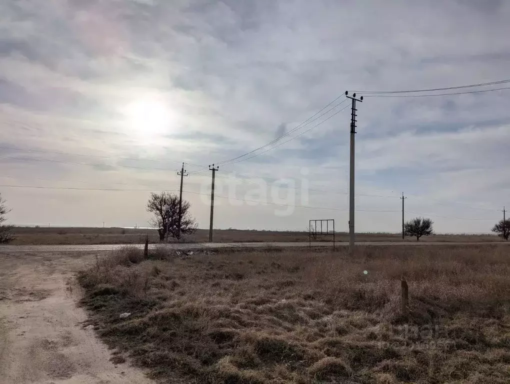 Участок в Крым, Черноморский район, Окуневское с/пос, с. Знаменское  ... - Фото 1
