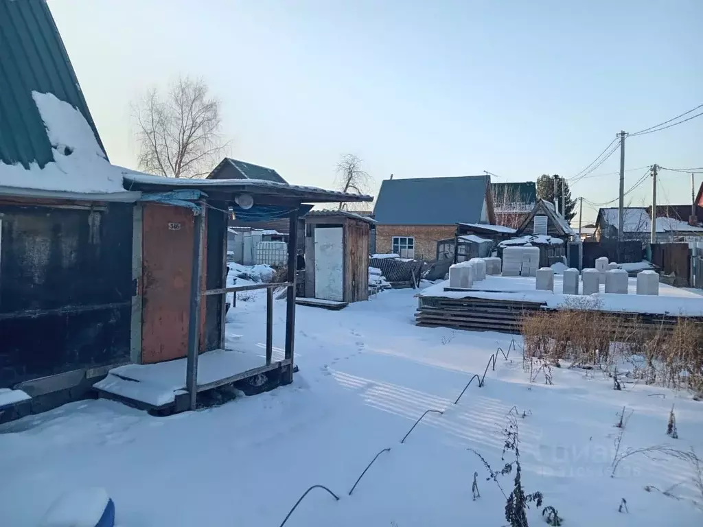 Участок в Новосибирская область, Новосибирск Радуга садовое ... - Фото 1