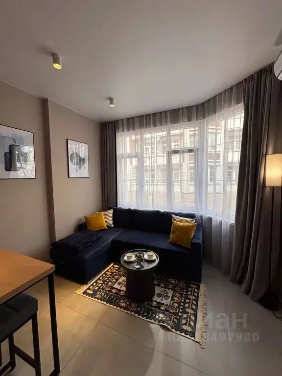 1-к кв. Краснодарский край, Сочи ул. Ленина, 290/6 (50.0 м) - Фото 1