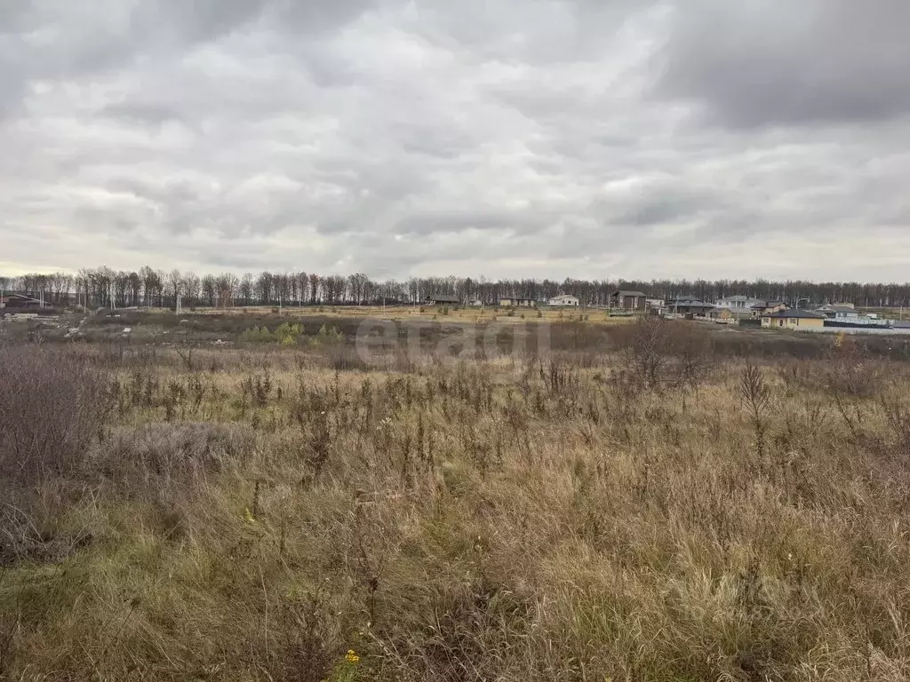 Участок в Воронежская область, Семилукский район, с. Девица ул. ... - Фото 1