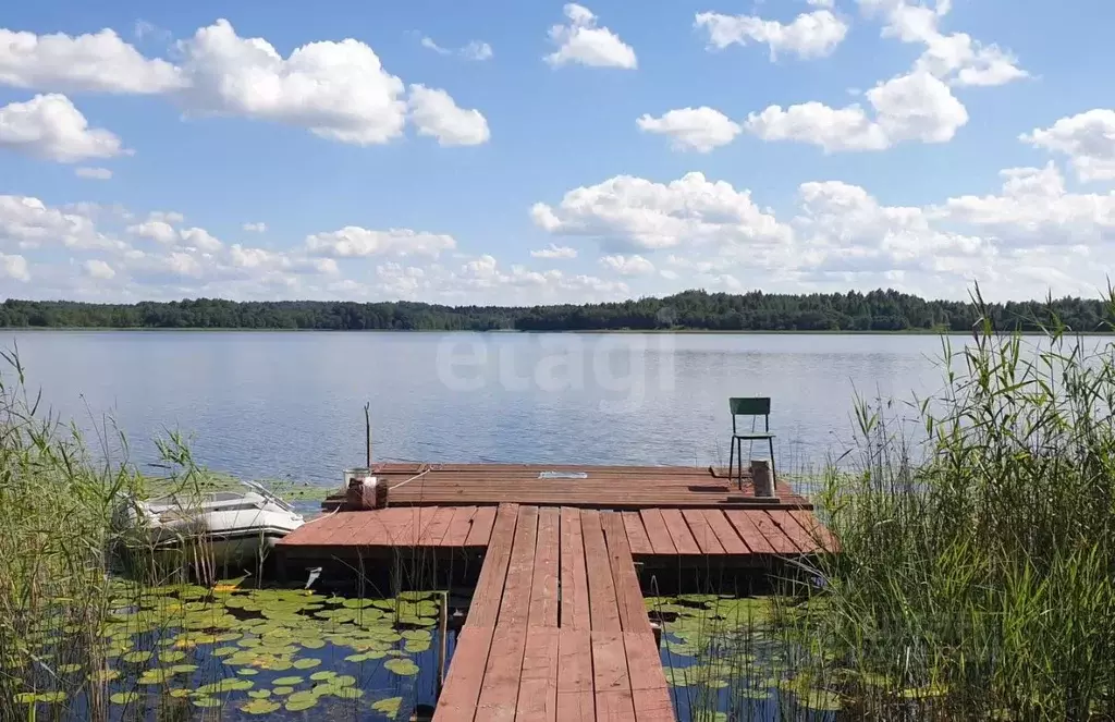Дом в Смоленская область, Руднянский муниципальный округ, д. Заборье ... - Фото 1