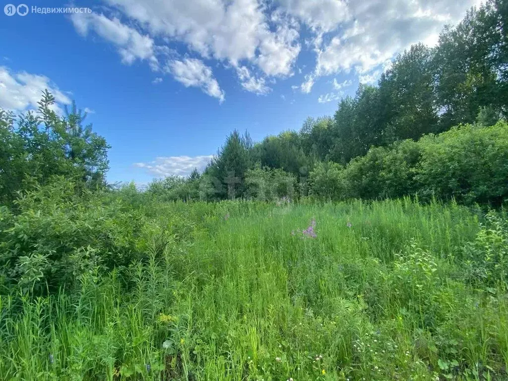 Участок в Тюменский муниципальный округ, деревня Криводанова, ... - Фото 1