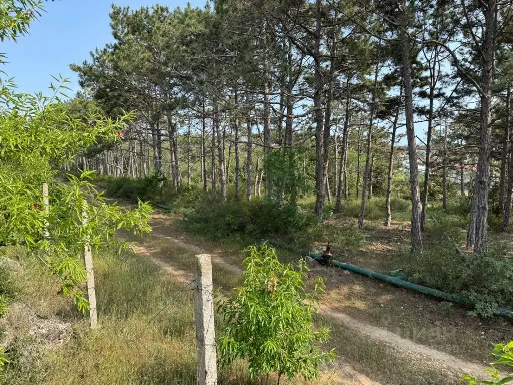 Участок в Севастополь Кипарис СНТ, 177 (6.49 сот.) - Фото 2