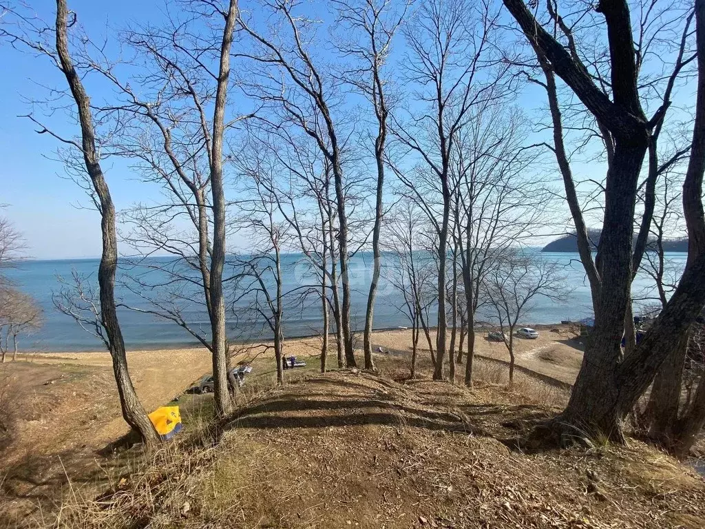 Участок в Приморский край, Владивосток Артековская ул. (11.2 сот.) - Фото 1