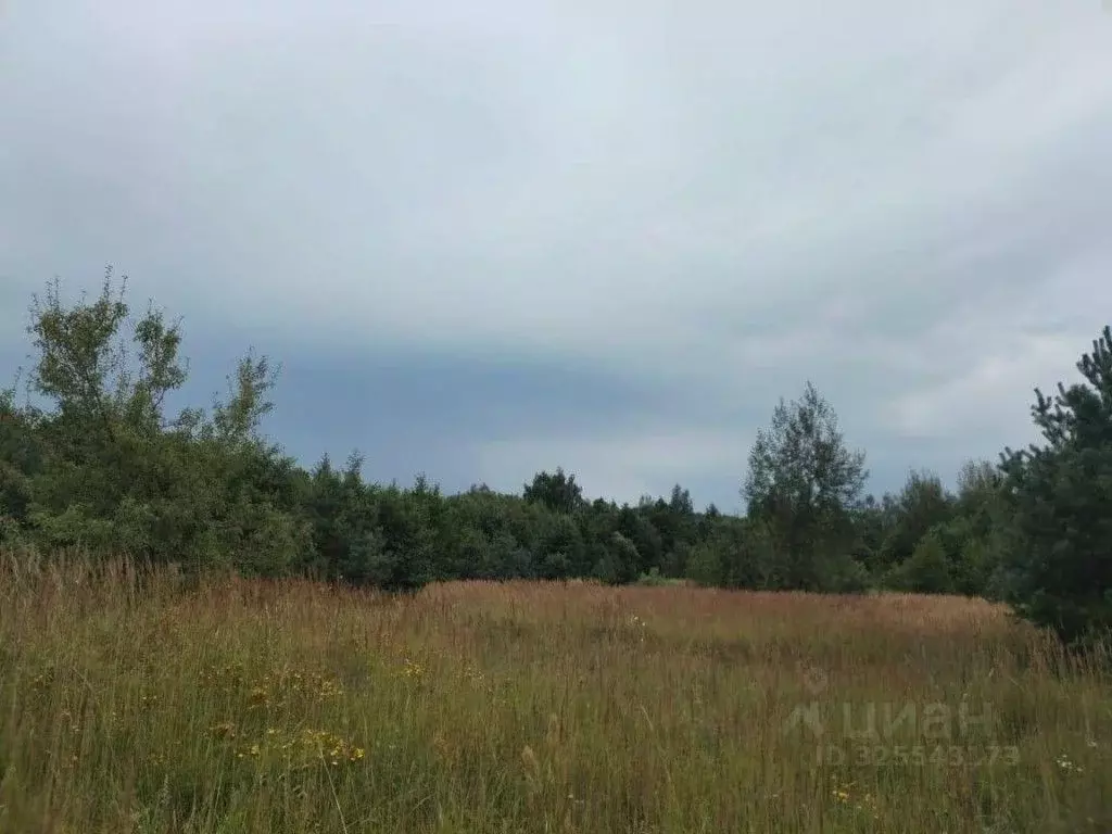 Участок в Псковская область, Себежский район, Идрица городское ... - Фото 2