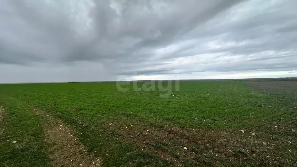 Участок в Крым, Черноморский район, с. Окуневка  (428.73 сот.) - Фото 1