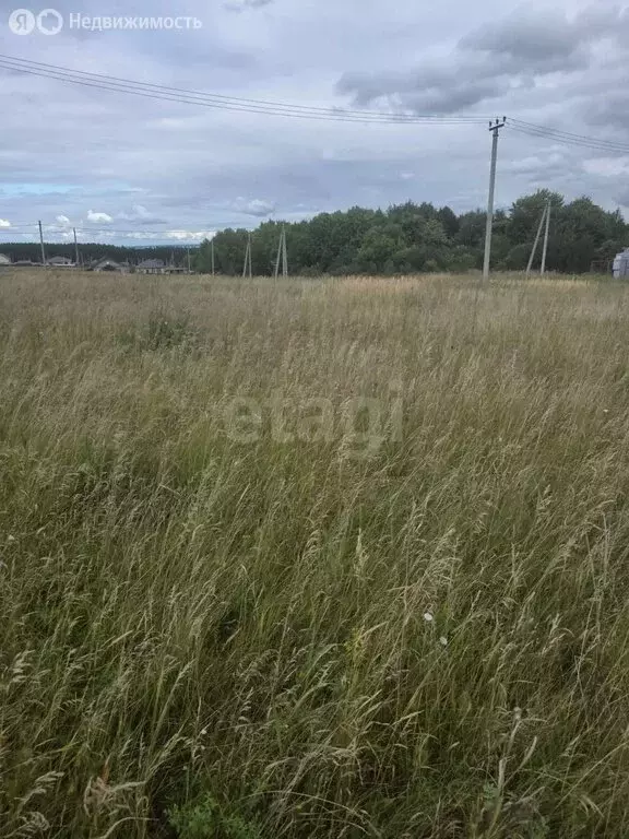 Участок в Тукаевский район, Биюрганское сельское поселение, деревня ... - Фото 2