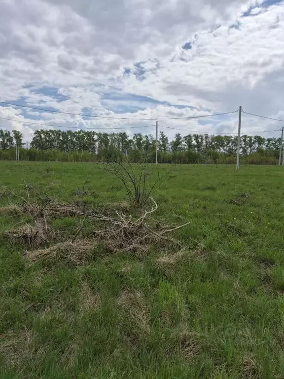 Участок в Тульская область, Новомосковск Сокольники мкр, Гаражей ... - Фото 2