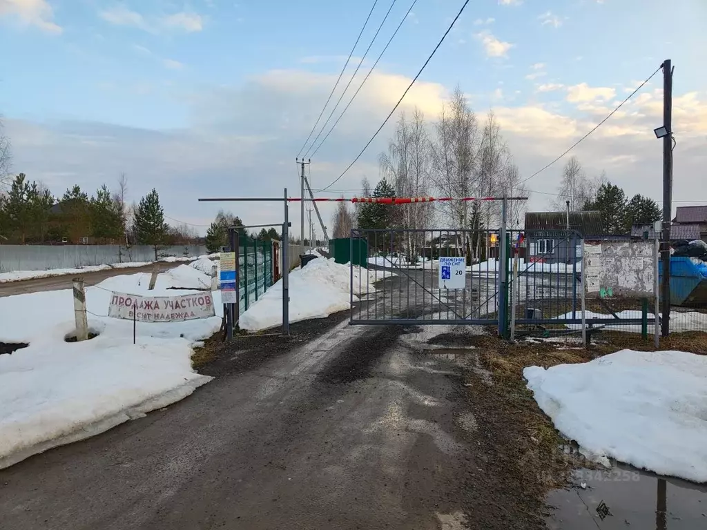 Участок в Московская область, Ступино городской округ, Надежда СНТ 236 ... - Фото 1