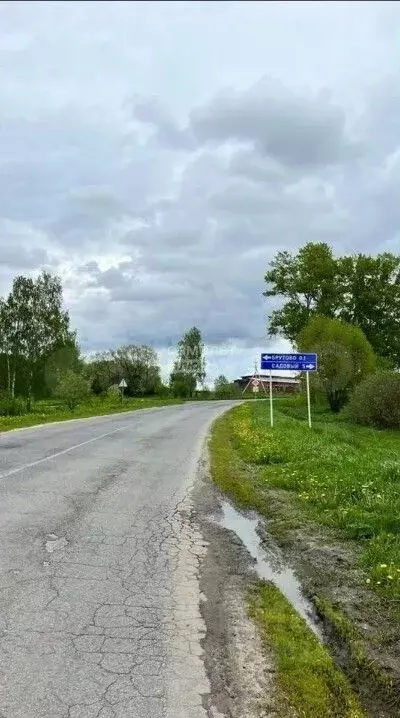 Участок в Владимирская область, Суздальский район, Павловское ... - Фото 1