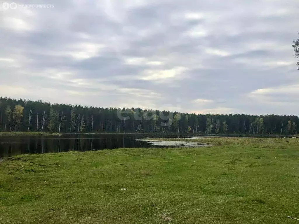 Участок в Ордынский район, село Вагайцево (6212.12 м) - Фото 0