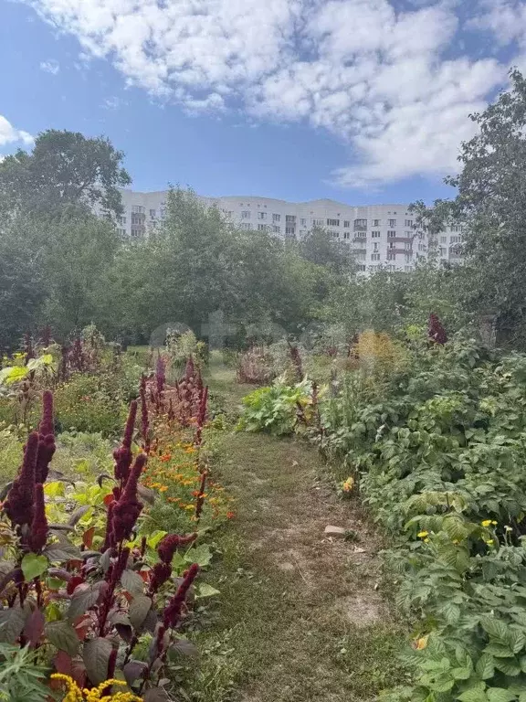 Дом в Курская область, Курск ул. Аристарховой, 56А (60 м) - Фото 1