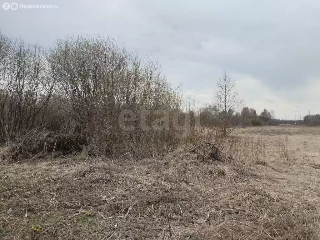 Участок в Костромская область, Судиславский муниципальный округ, ... - Фото 2