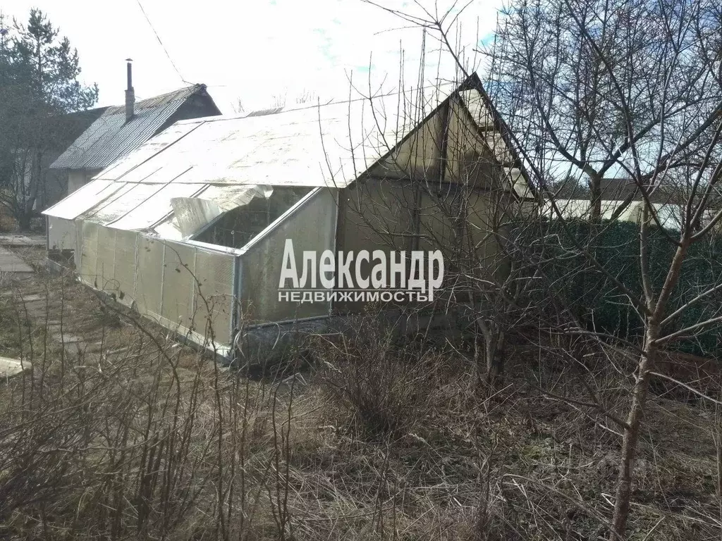 Участок в Ленинградская область, Волхов Труженик СНТ, ул. Боровинка ... - Фото 2