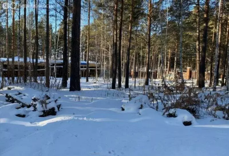 Участок в Иркутский муниципальный округ, КП Роял Парк (30 м) - Фото 2