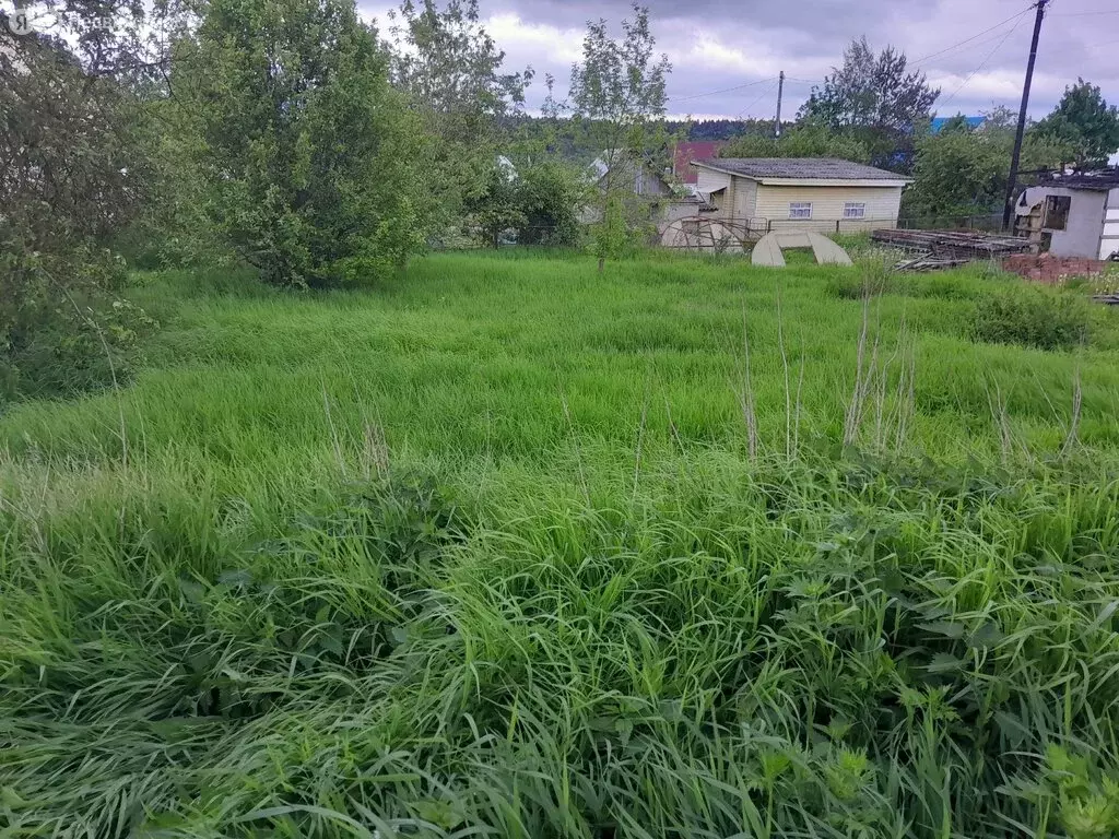 Участок в Вологодская область, Шекснинский муниципальный округ, ... - Фото 1