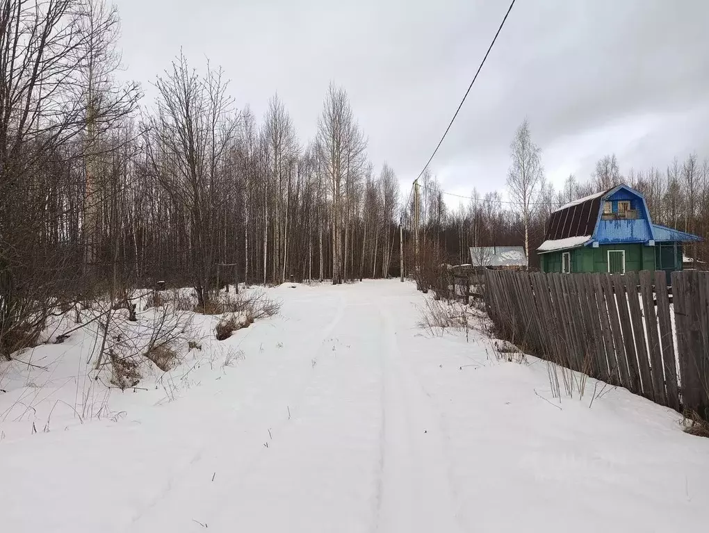 Участок в Вологодская область, Вологда Вологжанка садоводческое ... - Фото 0