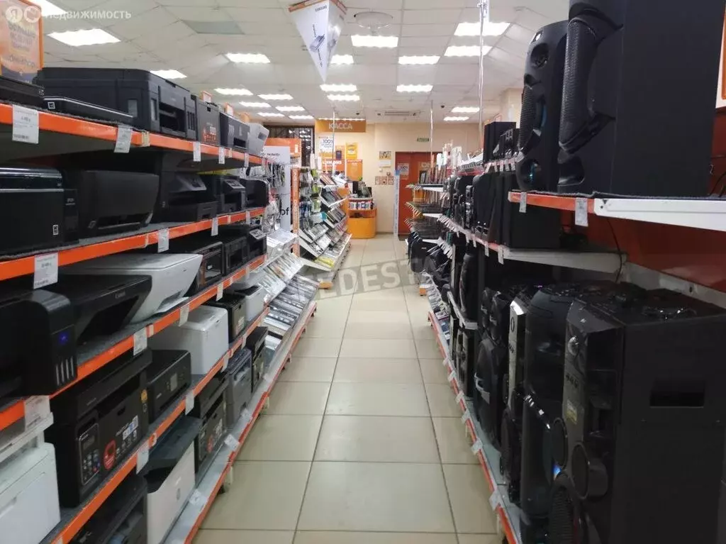 Помещение свободного назначения (299 м) - Фото 2