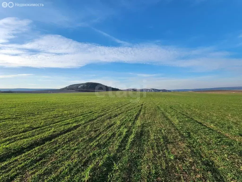 Участок в Бахчисарайский район, село Красный Мак (87 м) - Фото 1