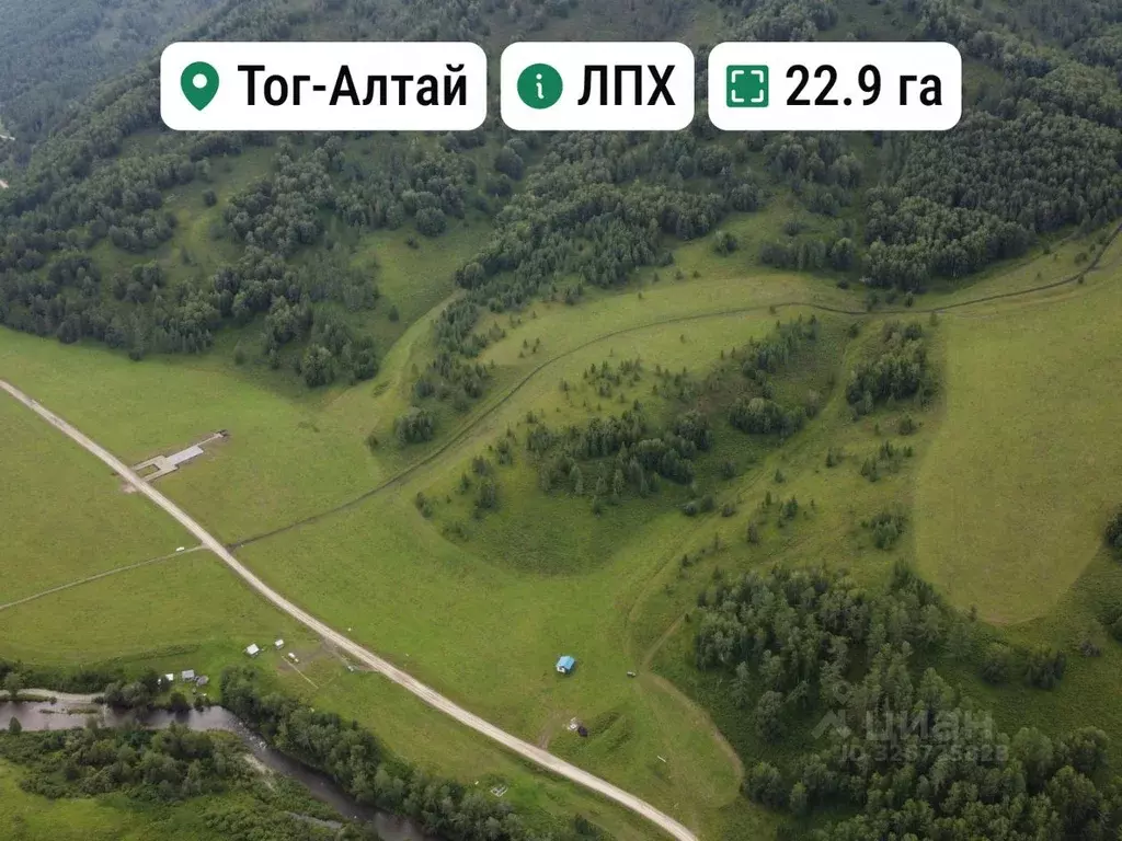 Участок в Алтайский край, Солонешенский район, пос. Тог-Алтай  (22.9 ... - Фото 1
