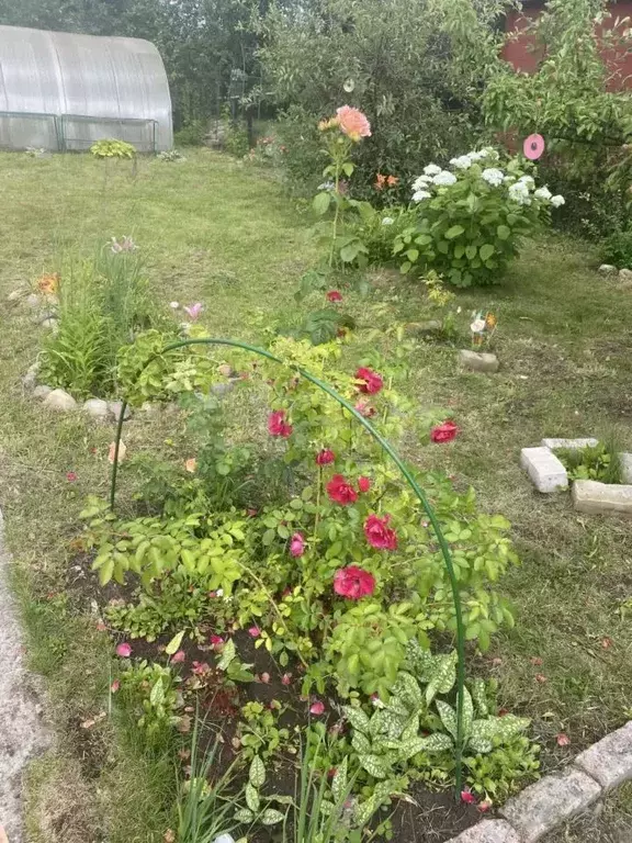 Дом в Ярославская область, Ярославль Нефтяник-1 СНТ, 453 (33 м) - Фото 1