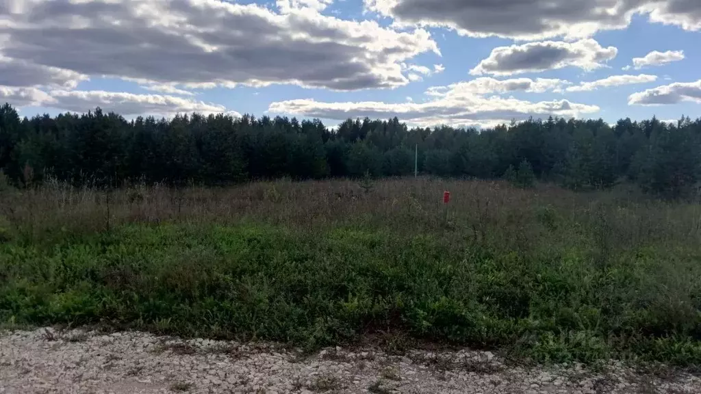 Участок в Кировская область, Киров городской округ, д. Олинцы ул. ... - Фото 0