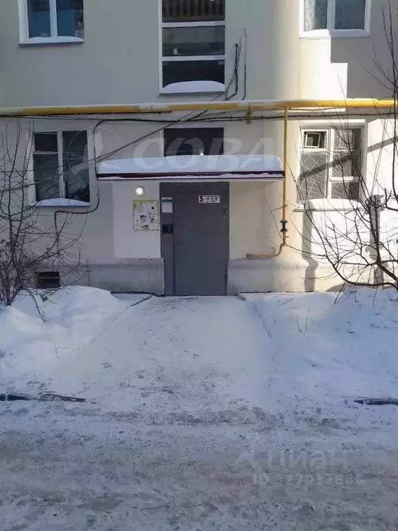 2-к кв. Курганская область, Курган Пролетарская ул., 63 (42.8 м) - Фото 2