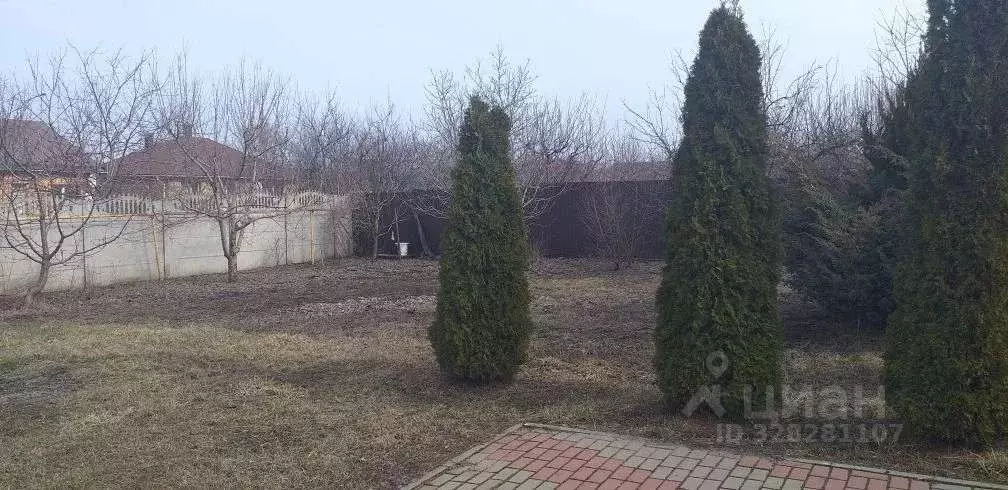Участок в Белгородская область, Белгородский район, Новосадовское ... - Фото 1