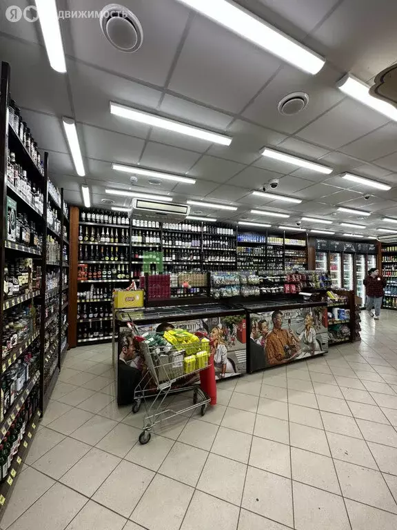 Помещение свободного назначения (126.8 м) - Фото 1