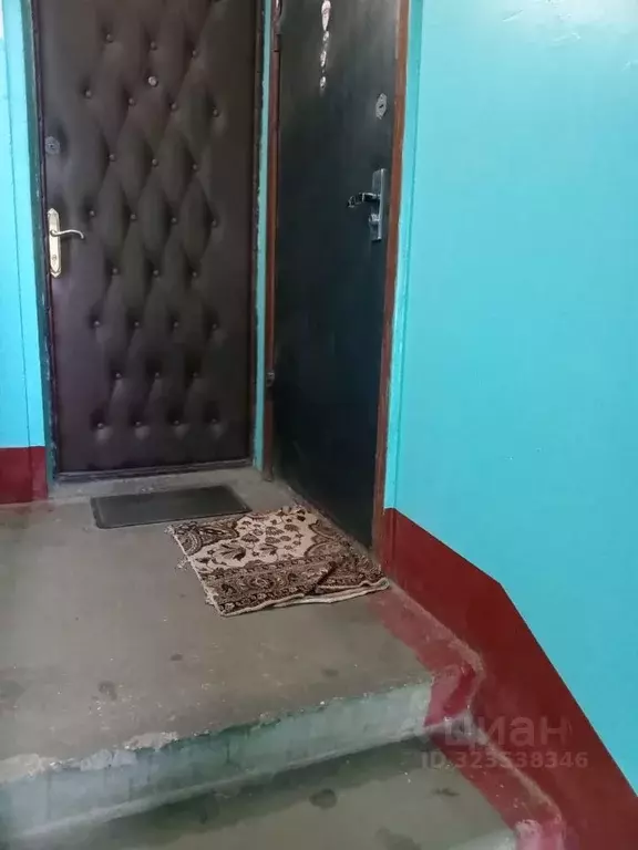 2-к кв. Московская область, Домодедово Барыбино мкр, ул. Агрохимиков, ... - Фото 2