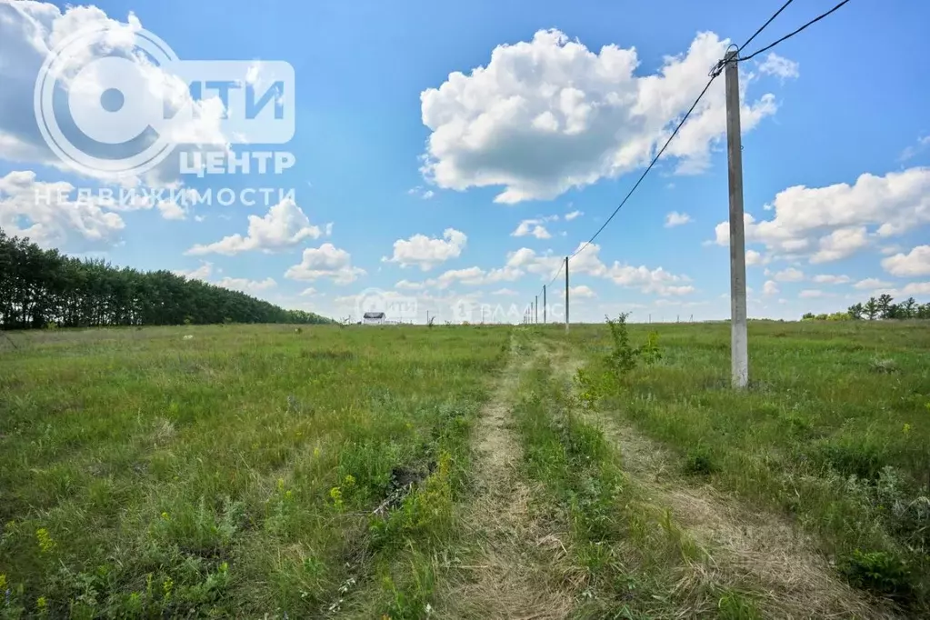 Участок в Воронежская область, Семилукский район, с. Девица, ... - Фото 0