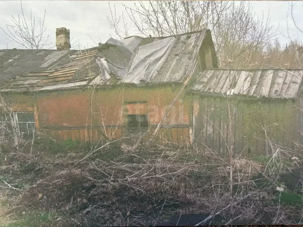 Участок в Кемеровская область, Ленинск-Кузнецкий Зимняя ул. (10.0 ... - Фото 2