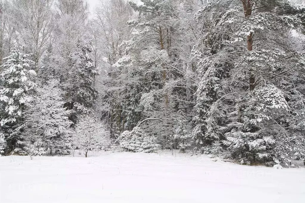 Участок в Московская область, Одинцовский городской округ, пос. ... - Фото 1