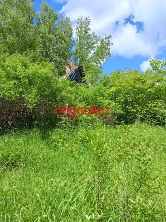 Участок в Новосибирская область, Новосибирск ул. В. Высоцкого, 53 ... - Фото 0