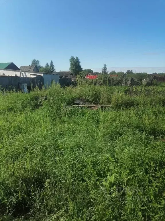 Участок в Омская область, Омский район, с. Пушкино ул. Ленина (9.0 ... - Фото 0