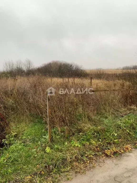 Участок в Калининградская область, Зеленоградск Прибой садоводческое ... - Фото 0