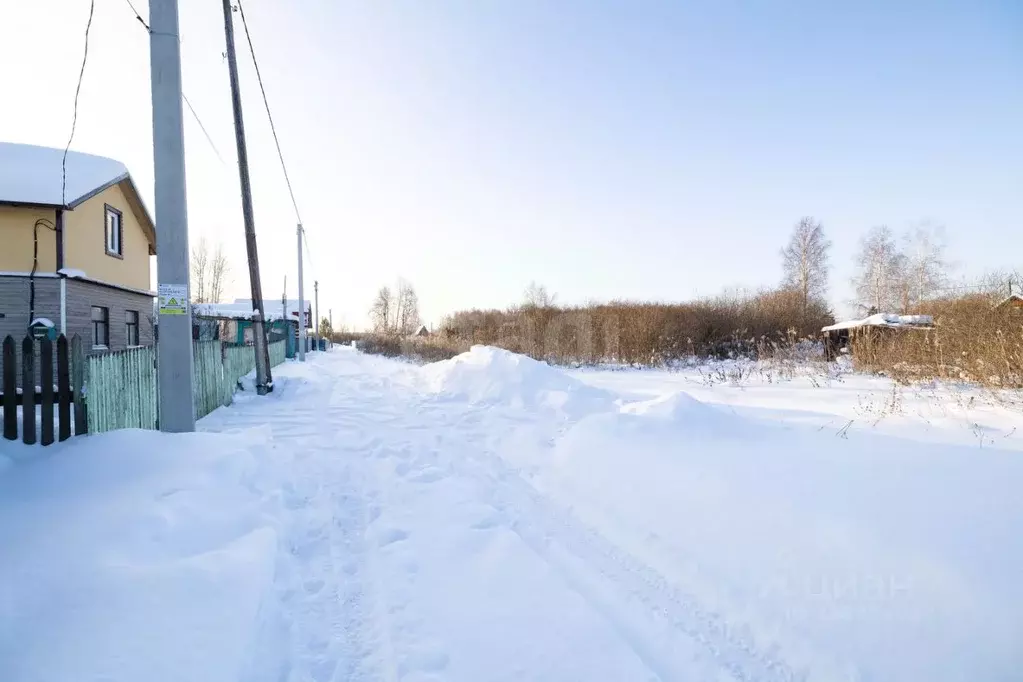 Участок в Тюменская область, Нижнетавдинский муниципальный округ, ... - Фото 1