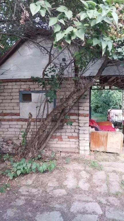 Дом в Волгоградская область, Волжский Мичуринец СНТ, ул. Набережная ... - Фото 0