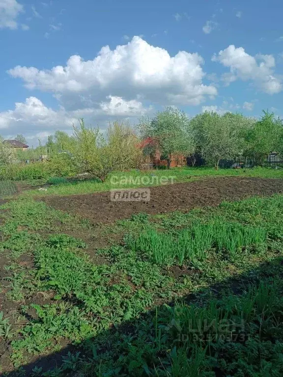 Участок в Алтайский край, Барнаул Совхозная ул. (10.0 сот.) - Фото 2