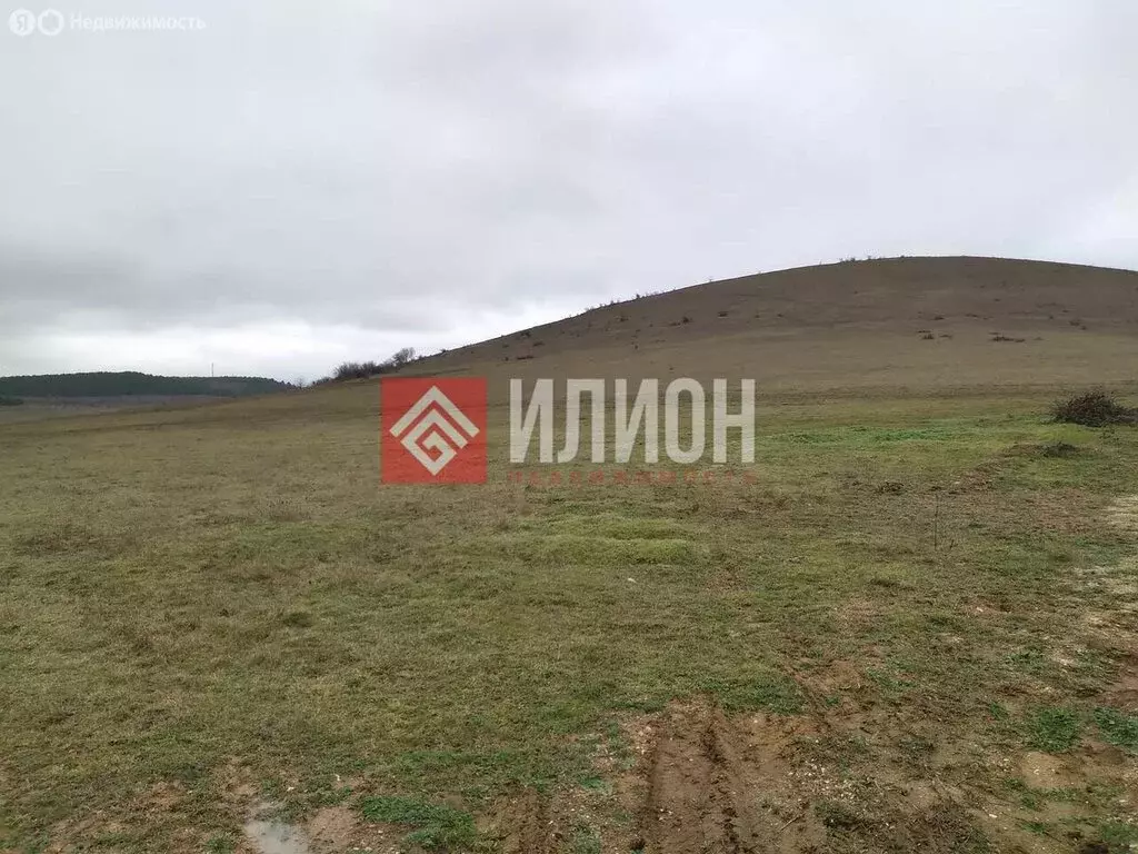 Участок в Чистенское сельское поселение, село Камышинка (370 м) - Фото 1