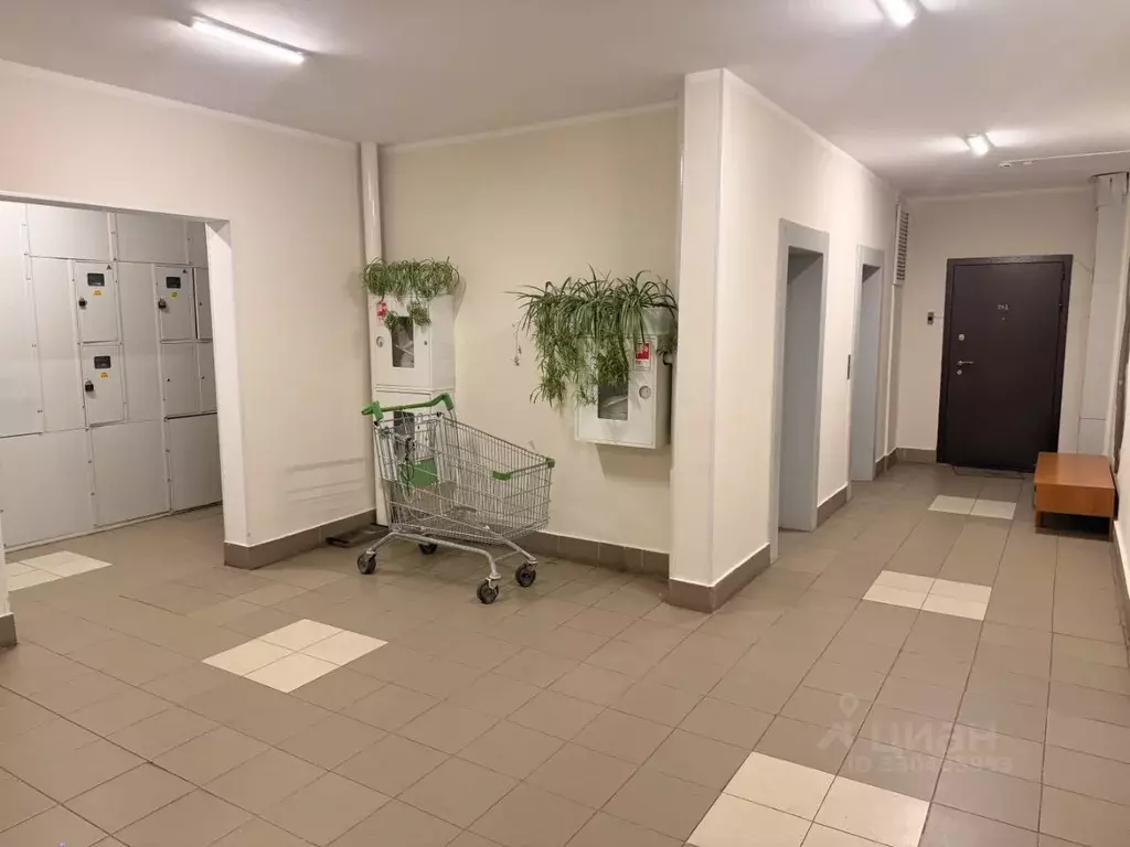 2-к кв. Московская область, Одинцовский городской округ, ... - Фото 2